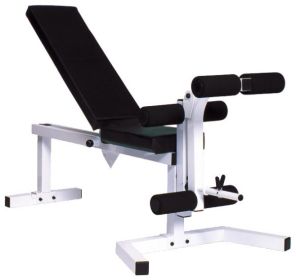 Pro Series 210 With 205 FI Bench plus 202 Leg Curl Attachment