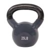 Sunny Health & Fitness Vinyl Coated Kettle Bell - 25Lbs