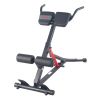 Sunny Health & Fitness Hyperextension Roman Chair with Dip Station - SF-BH620062