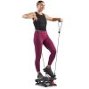 Sunny Health & Fitness Total Body Smart Exercise Stepper Machine