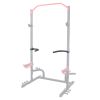 Sunny Health & Fitness Dip Bar Attachment for Power Racks and Cages - SF-XFA002