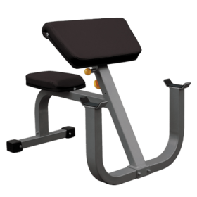 HUDSON SEATED ARM CURL BENCH