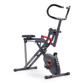 Sunny Health & Fitness Upright Row-N-Ride™ Exercise Bike - SF-A022077