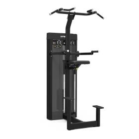 Spirit Fitness CSD-PUDA Dual Pull Up/Dip Assist