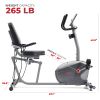 Sunny Health & Fitness Performance Interactive Recumbent Exercise Bike w/ Exclusive SunnyFit™ App Bluetooth Connectivity - SF-RB420031