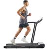 Sunny Health & Fitness Pegasus Connected Folding Treadmill - SF-T722054