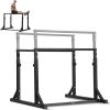 VEVOR Dip Bar, 800 lbs Capacity, Heave Duty Dip Workout Bars