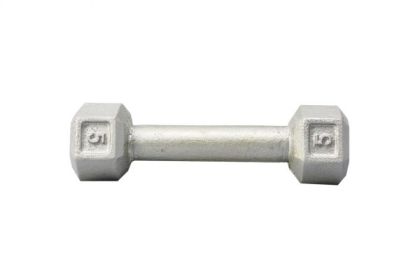 Cast Iron Hex Dumbbell Residential only (weight: 5)